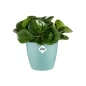 Preview: Elho Blumentopf Brussels Mini 9.5cm Mint