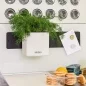 Preview: Lechuza Green Wall Home Kit Color weiss