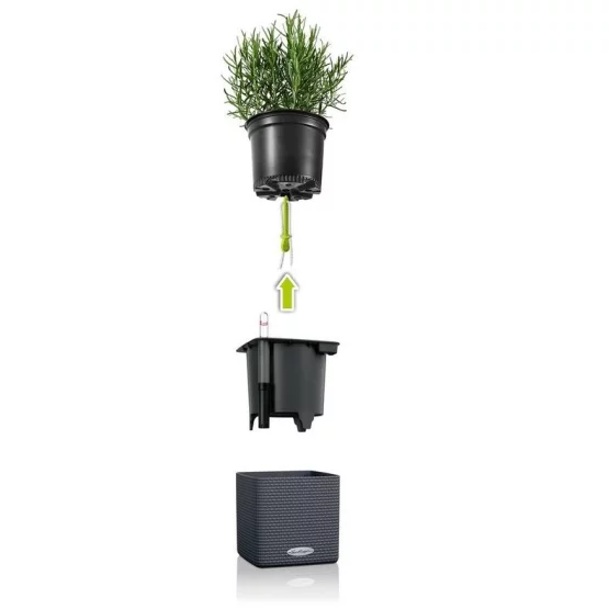 Lechuza Green Wall Home Kit Color weiss