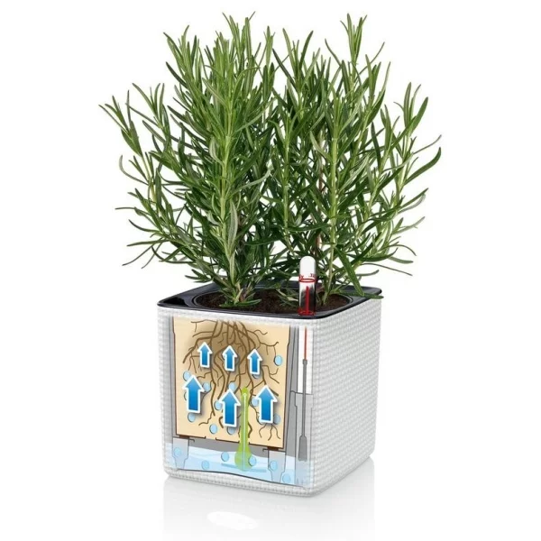 Lechuza Green Wall Home Kit Color weiss